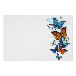 Poster Papillons volants Morpho et Monarch