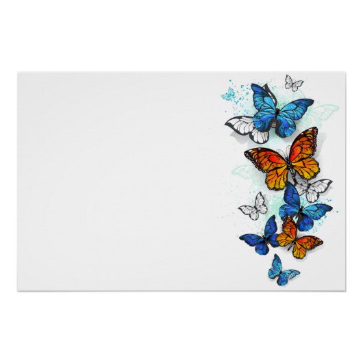 Poster Papillons volants Morpho et Monarch (Devant)