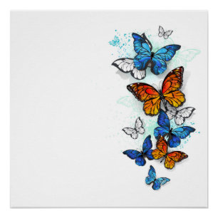 Poster Papillons volants Morpho et Monarch