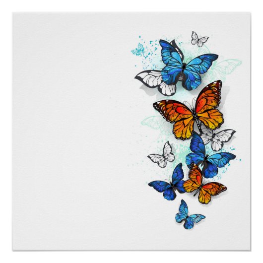 Poster Papillons volants Morpho et Monarch (Devant)