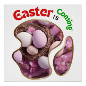 Poster Pâques est à venir - Chicks (Devant)