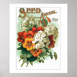 Poster Paquet assorti par cru de graine de fleurs