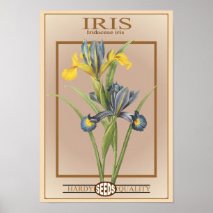 Poster paquet de graine d'iris