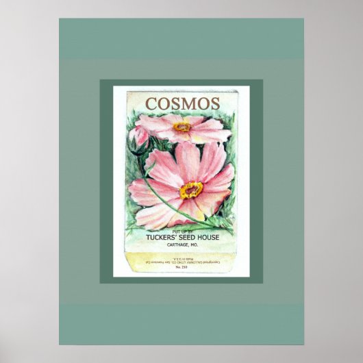 Poster Paquet de semences Cosmos (Devant)