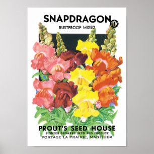 Poster Paquet de semences vintage Art Étiquette, Fleurs S