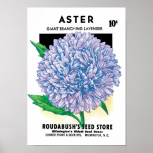 Poster Paquet de semences vintage, Fleurs d'aster violet