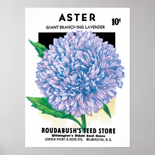 Poster Paquet de semences vintage, Fleurs d'aster violet (Devant)