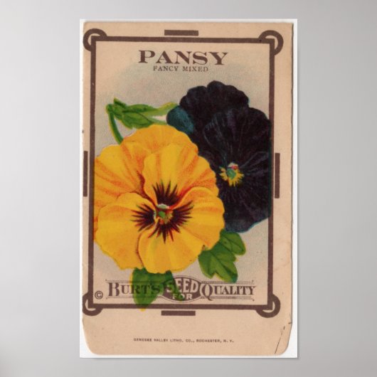 Poster Paquets de semences vintages (Devant)
