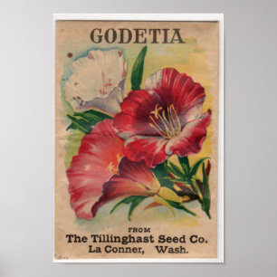 Poster Paquets de semences vintages