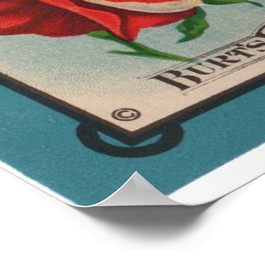 Poster Paquets de semences vintages (Coin)