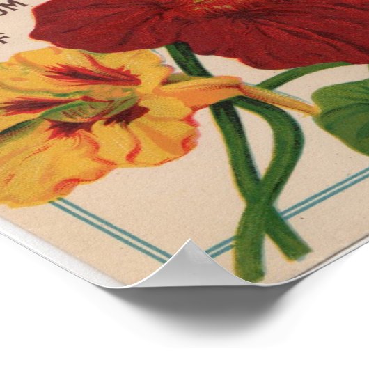 Poster Paquets de semences vintages (Coin)