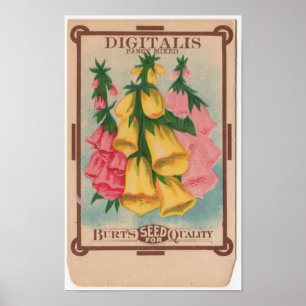 Poster Paquets vintages de graine