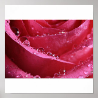 Poster Par La Fenêtre De Lumière