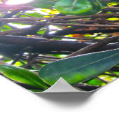 Poster Par Les Feuilles (Coin)