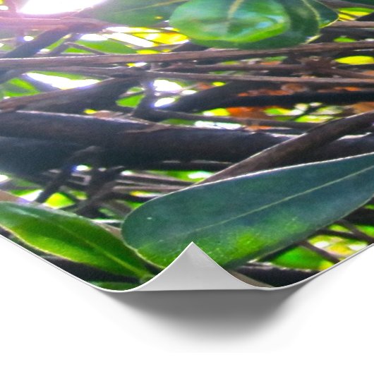 Poster Par Les Feuilles (Coin)