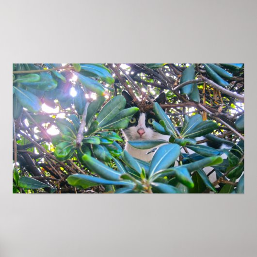 Poster Par Les Feuilles (Devant)