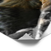 Poster Par Lumière Lune (Coin)