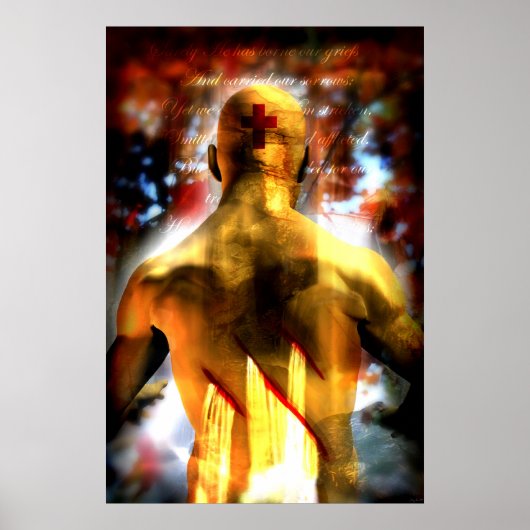 Poster Par Ses Rayures (Devant)