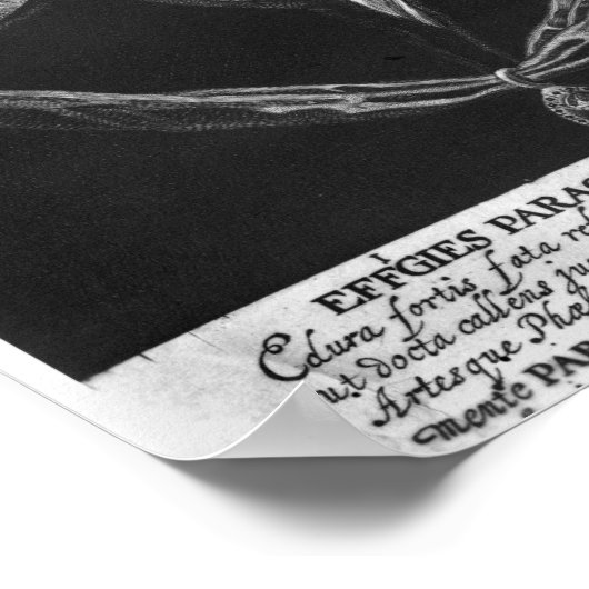 Poster Paracelsus (Coin)