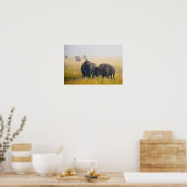 Poster Parade amoureuse de bisons à Yellowstone (Cuisine)