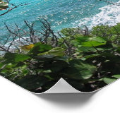 Poster Paradis (Coin)