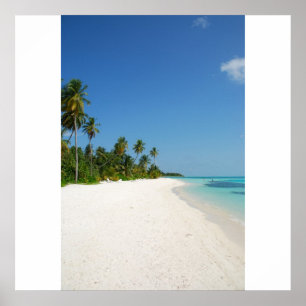Poster Paradis de la plage avec palmiers