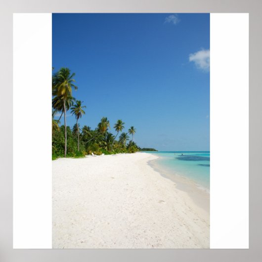 Poster Paradis de la plage avec palmiers (Devant)