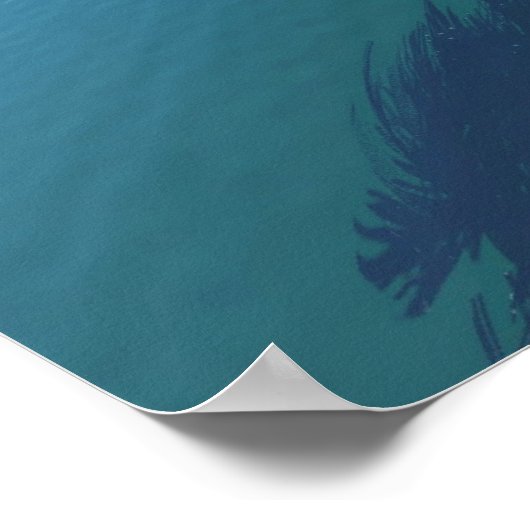 Poster Paradis de l'île (Coin)