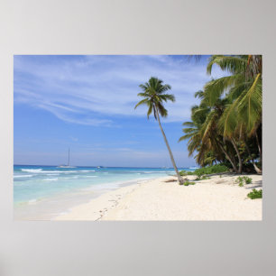 Poster Paradis d'été