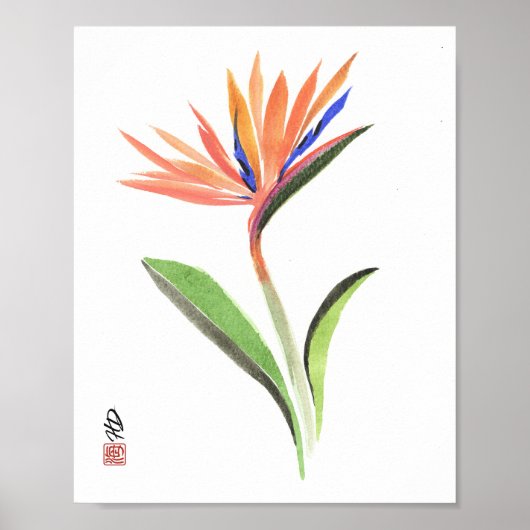 Poster Paradis en fleurs (Devant)
