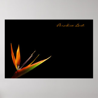 Poster Paradis perdu