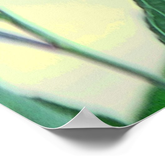 Poster Paradis pourpre (Coin)