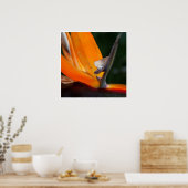 Poster Paradis proche (Cuisine)