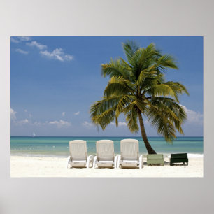 Poster Paradis tropical