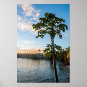 Poster Paradis tropical au coucher du soleil, Fidji