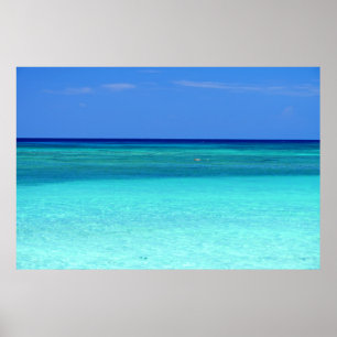 Poster Paradis Vert Bleu