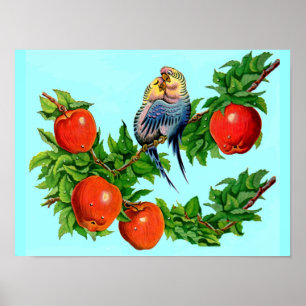 Poster parakeets in love