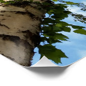 Poster parapluie de bouleau (Coin)