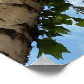 Poster parapluie de bouleau (Coin)