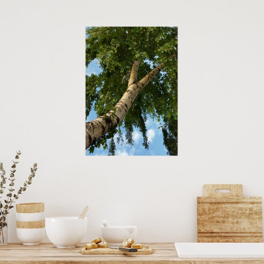 Poster parapluie de bouleau (Cuisine)