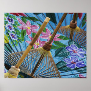 Poster Parapluies décoratives peintes à la main dans le v
