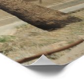 Poster Pararescue (Coin)