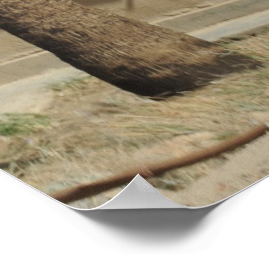 Poster Pararescue (Coin)