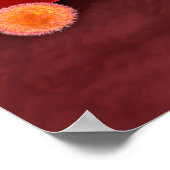 Poster Parasites du paludisme dans les cellules de sang r (Coin)