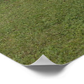Poster Parc (Coin)
