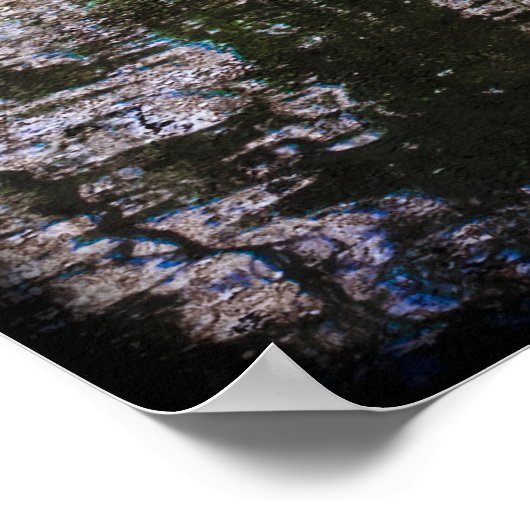 Poster Parc Audubon (Coin)