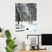 Poster Parc central 2010 Neige - CIMG6446 (Bureau à domicile)