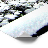 Poster Parc central 2010 Neige - CIMG6446 (Coin)