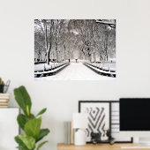 Poster Parc central 2010 Neige - CIMG6496 (Bureau à domicile)