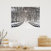 Poster Parc central 2010 Neige - CIMG6496 (Cuisine)